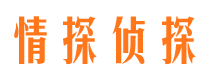 隆尧侦探公司